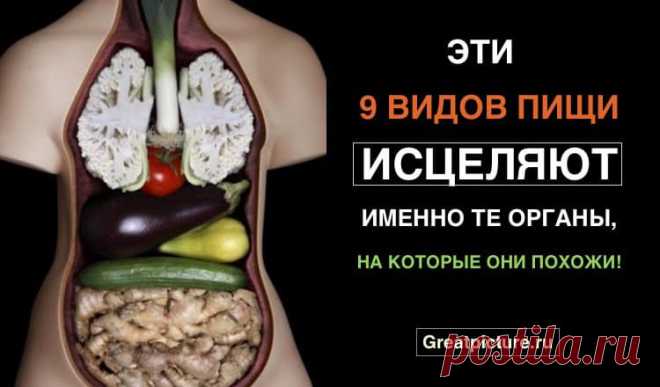 Эти 9 видов пищи исцеляют именно те органы, на которые они похожи!