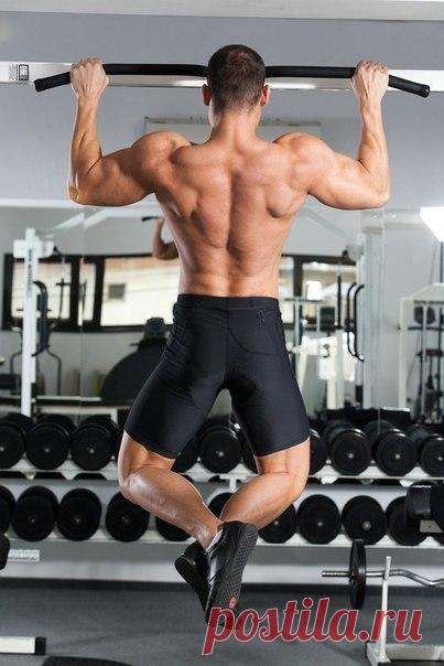 Подтягивания: схемы и программы тренировок / Абсолютное здоровье