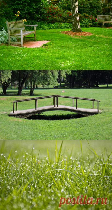 Технология посева газонной травы: не стоит пренебрегать этим