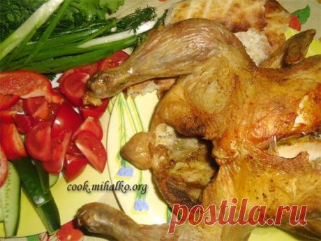 Курица в аэрогриле - Простые рецепты