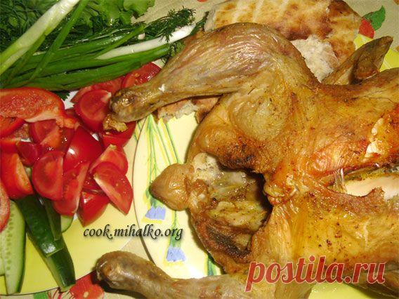 Курица в аэрогриле - Простые рецепты