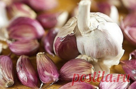 А помогли сода и чеснок

У меня был хронический бронхит, эмфизема легких. По два раза в год болела
пневмонией и думала, что мне от этого не избавиться никогда. Но один
чудесный и очень простой способ помог не только мне, но и многим, кому я его
рекомендовала. Рассказала мне о нем в качестве примера из своей врачебной
практики милая докторша. И рассказ ее запал мне в душу.

В больнице, где она работала, лежали двое мужчин с абсцессом легкого. Мужчина постарше умер, а молодо...