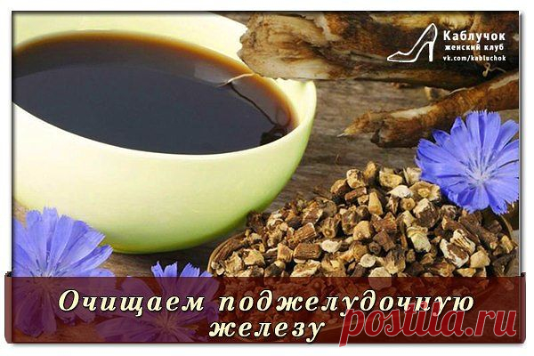 (ПОДЖЕЛУДОЧНАЯ  ЖЕЛЕЗА