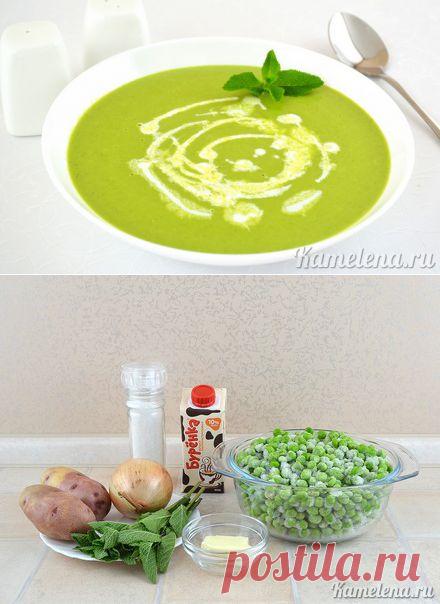 Суп-пюре из зеленого горошка с мятой