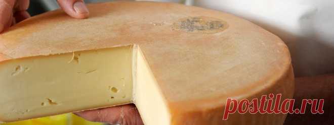 Советы покупателю при выборе натурального сыра — Всегда в форме!