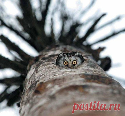 ツ Микс 

Придумаем подпись?