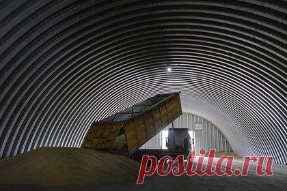 Вершинин обсудил зерновую сделку с замглавы МИД Турции. Замглавы МИД России Сергей Вершинин обсудил с турецким коллегой Бураком Акчапаром реализацию зерновой сделки. Дипломаты также обсудили ряд важных тем международной повестки. Особое внимание уделили ситуации в Сирии и необходимости оказания поддержки для восстановления после землетрясения.