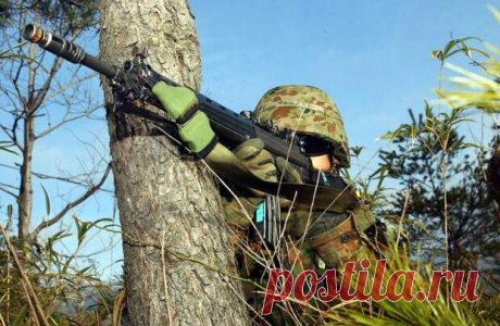 Новая винтовка HOWA 5.56: дешёвая, функциональная, технологичная - БАЗА 211- ВОЕННАЯ ИСТОРИЯ - медиаплатформа МирТесен  Винтовка «Тип 89» в обстановке, приближенной к боевой. Но скоро ей придет замена!  Даже с крупицей храбрости человек может стать воином, с каплей любви каждый может стать мессией… Как бы ты ни устал, как бы тебе ни было одиноко, не забывай, есть люди, которым ты небезразличен…»&lt;br