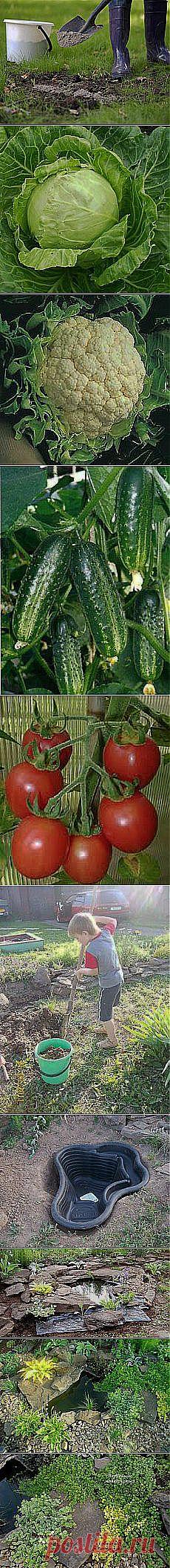 (+1) - Весь Интернет контролируют всего 14... и другие материалы. Новое в Вашей подборке на Постиле - hyanhe@mail.ru - Почта Mail.Ru