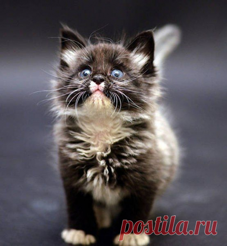 Интересные новости