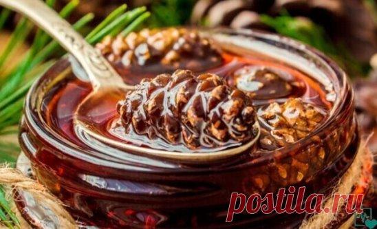 ИНСУЛЬТ БОИТСЯ СОСНОВЫХ ШИШЕК, КАК ОГНЯ! ЗАПИСЫВАЙТЕ УНИКАЛЬНЫЙ НАРОДНЫЙ РЕЦЕПТ!