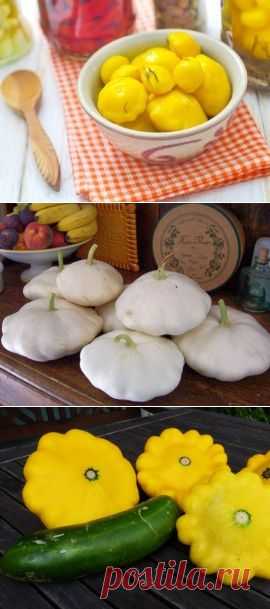 Лучшие рецепты соленых и маринованных патиссонов на зиму