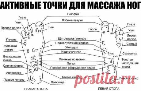 АКТИВНЫЕ ТОЧКИ ДЛЯ МАССАЖА НОГ
1. Если массировать кончики пальцев ног, можно избавиться от головной боли и простимулировать деятельность головного мозга.
2. Область вокруг больших пальцев ног поможет справиться с болью в шее — нужно лишь активно ее помассировать.
3. Массаж области в центре стопы помогает справиться с болезнями легких, облегчает патологическое состояние при астме, снимает одышку.
4. Разминая зону чуть ниже большого пальца на стопе, выпуклую подушечку, ты п...