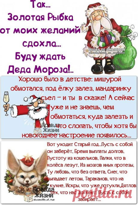 Позитивные выражения в картинках ))).