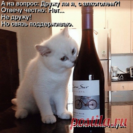 Моя открытка