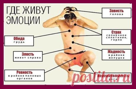 Удивительные вещи | Записи в рубрике Удивительные вещи | МОЙ СУНДУЧОК-ХРАНИЛИЩЕ.