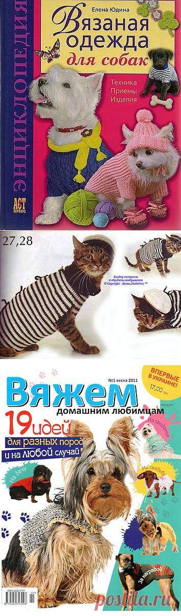 alyona.merletto — альбом «Мода для животных» на Яндекс.Фотках