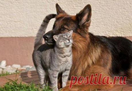 Притча о Справедливости - rastimul.com.ua