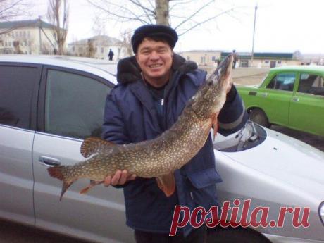 Республика Башkортостан ,Хайбуллинский р-н / Богатая добыча