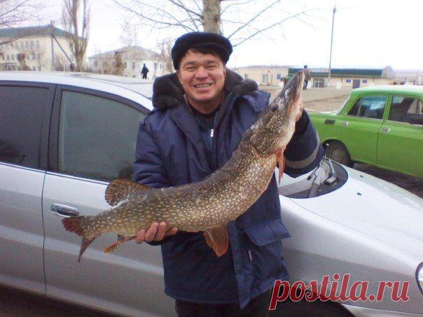 Республика Башkортостан ,Хайбуллинский р-н / Богатая добыча