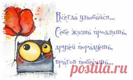 Прикольные высказывания в картинках