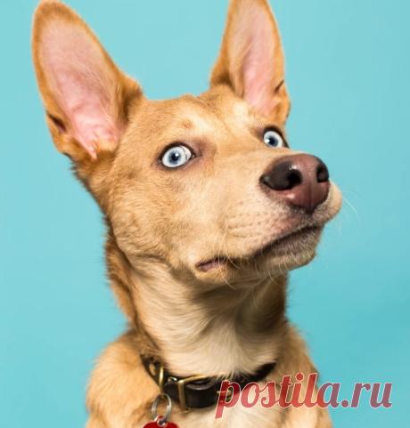 (3) Тhe beautiful world of Ludmila ( Красивият свят на Людмила )
