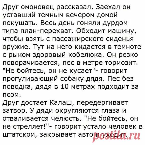 Андрей Марьясов