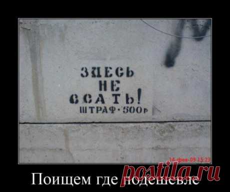 Сегодня точно мой день! - МирТесен