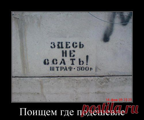 Сегодня точно мой день! - МирТесен