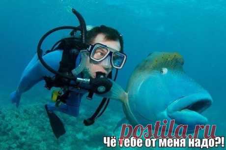 УДАЧНОЕ ФОТО.