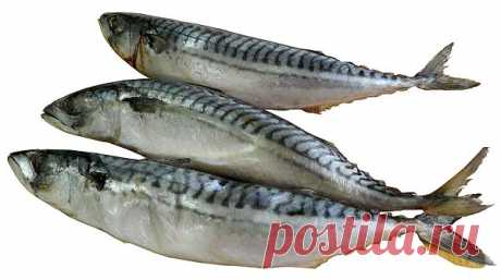 Самый легкий рецепт маринования скумбрии