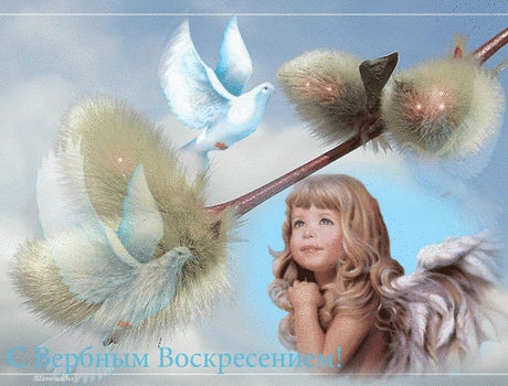 Открытки С Вербным воскресением! 2 - clipartis Jimdo-Page! Скачать бесплатно фото, картинки, обои, рисунки, иконки, клипарты, шаблоны, открытки, анимашки, рамки, орнаменты, бэкграунды