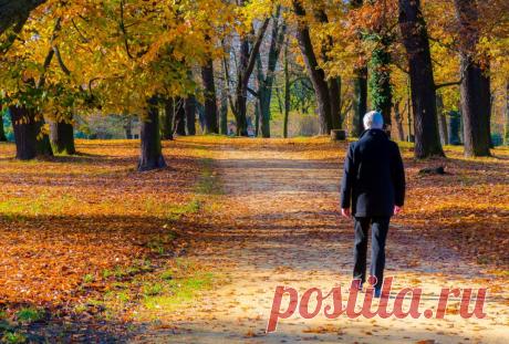 Совершите 30-минутную прогулку и высвободите свои эндорфины
Современный мир, в котором мы живем, полон стрессов, несчастий, незащищенности и депрессии. Наша работа, поездки на работу, движение, финансы, семья, отношения, свидания, дети, новости и никогда не хватает времени — все это тяжело тяготит нас, тянет нас вниз. Стресс истощает организм и истощает важные нейротрансмиттеры, питательные...
Читай дальше на сайте. Жми подробнее ➡