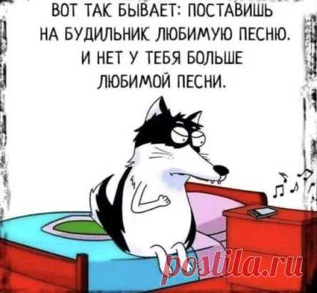 Одноклассники
