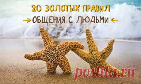 20 золотых правил общения с людьми » Только самое интересное