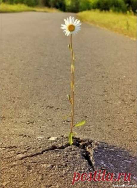 "Что такое неудача". М.Лабковский Многие думают, что неудача &mdash; это работать дворником или в 40 лет жить с мамой. Или в 45 быть одной без мужа и детей, окружённой кошками.&nbsp;А ведь на самом деле неудача так не выглядит. Хотите я вам расскажу, что такое действительно неудача?&nbsp;Это ни дня не прожить так, как вы...