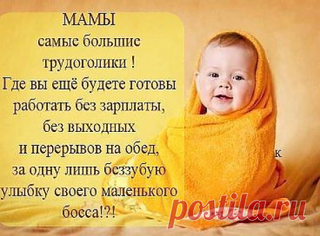 (72) Одноклассники