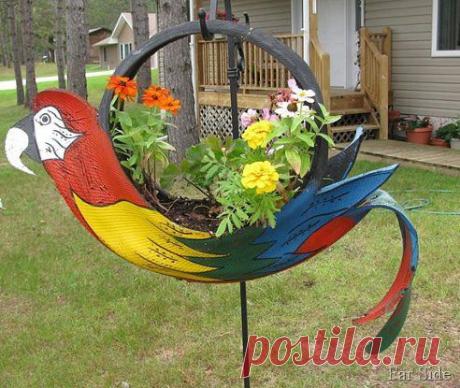 (1) Одноклассники