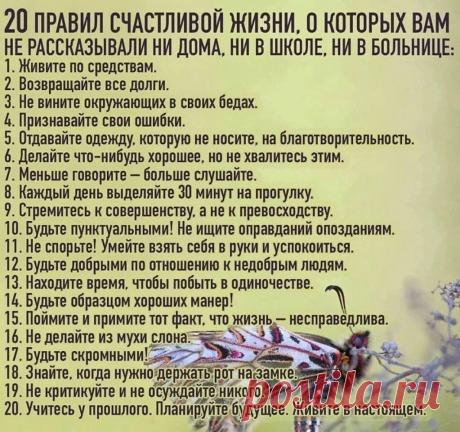 Мой Мир@Mail.Ru