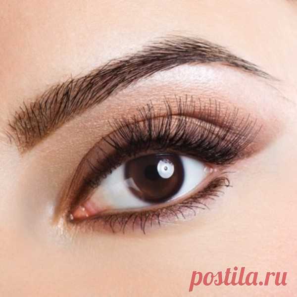 Инфографика: моделируем брови. Научный подход С геометрической точностью предлагаем вам еще один взгляд на идеальные брови.