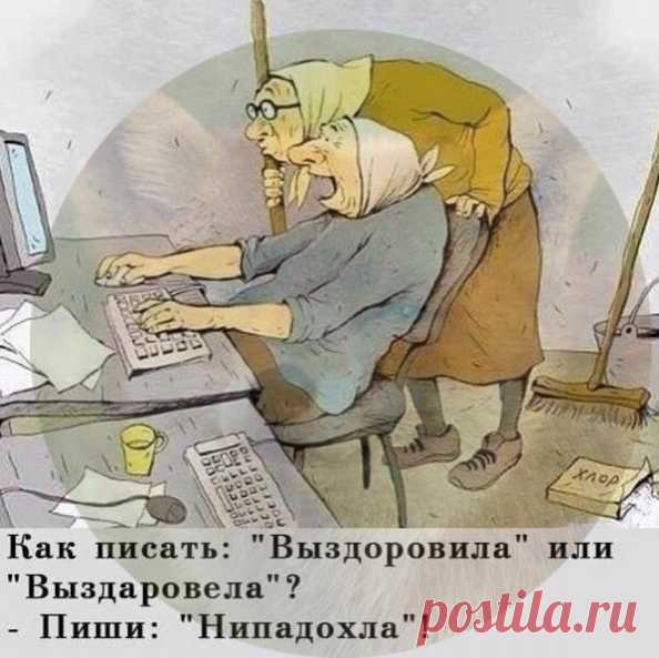 orig (594×593)