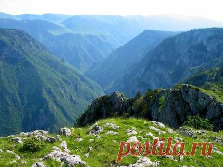 (10) Mensur Dzankovic