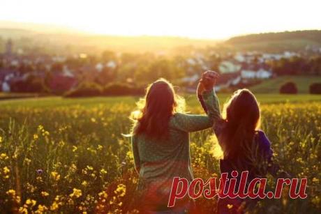 Несколько существенных различий между настоящим и фальшивым другом — Моя кухня