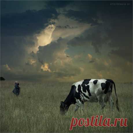 35PHOTO - Виктор Перякин - Кормилица