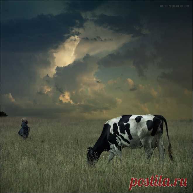 35PHOTO - Виктор Перякин - Кормилица