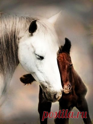 Красота и грация!