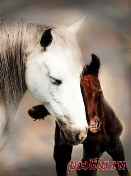 Красота и грация!