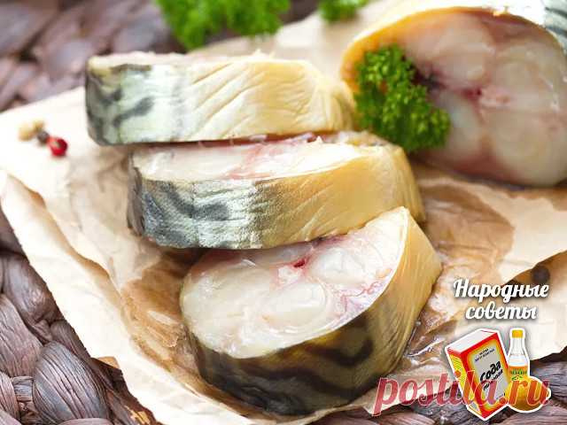 Домашняя скумбрия