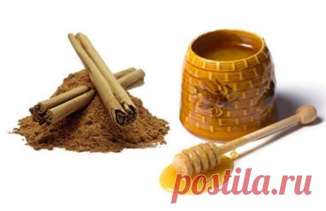 О пользе мёда и корица | ЗДОРОВЫЙ ОБРАЗ