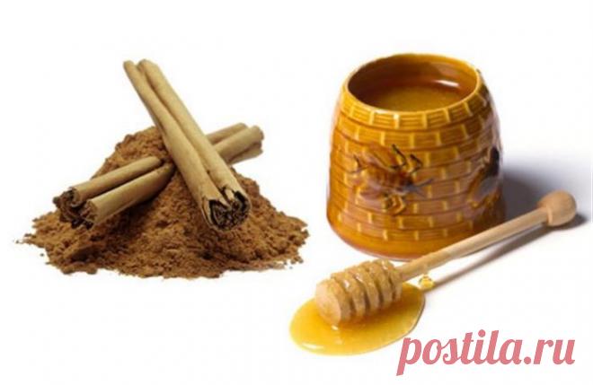 О пользе мёда и корица | ЗДОРОВЫЙ ОБРАЗ